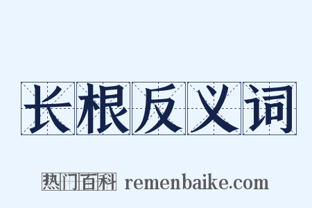 长根反义词是什么意思的图片